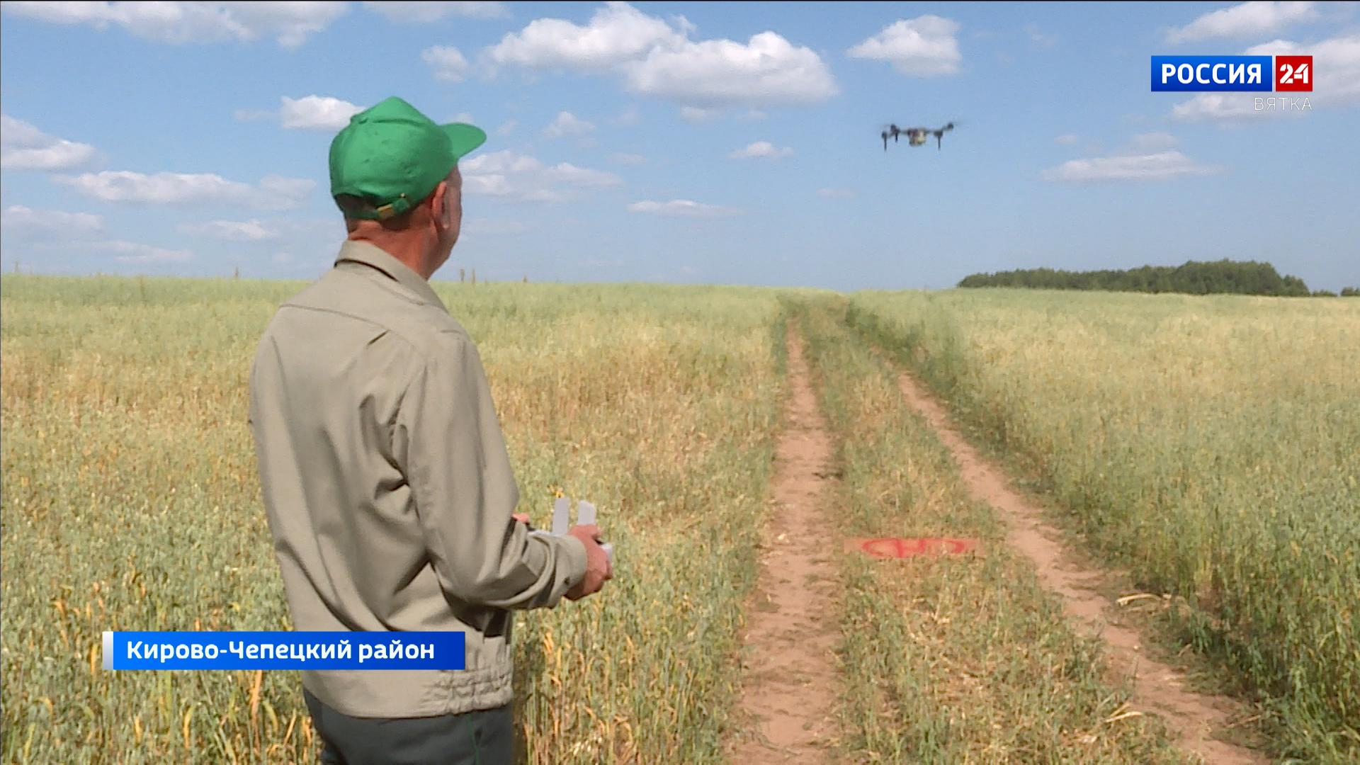 Современные технологии помогают сохранить вятские леса