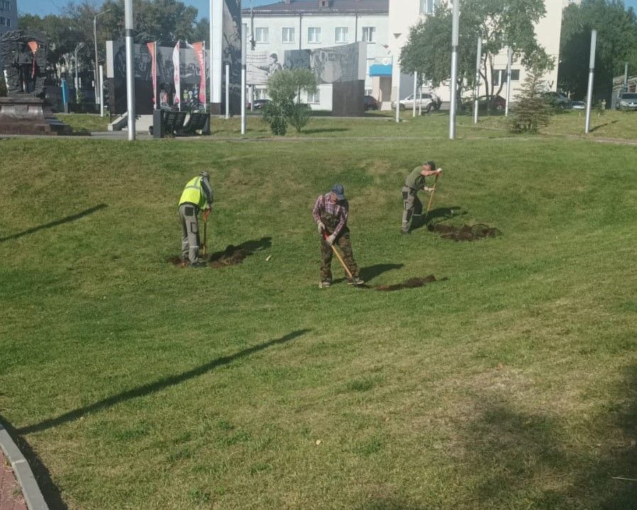 Новые лиственницы и липы появятся в сквере Трудовой славы в Кирове