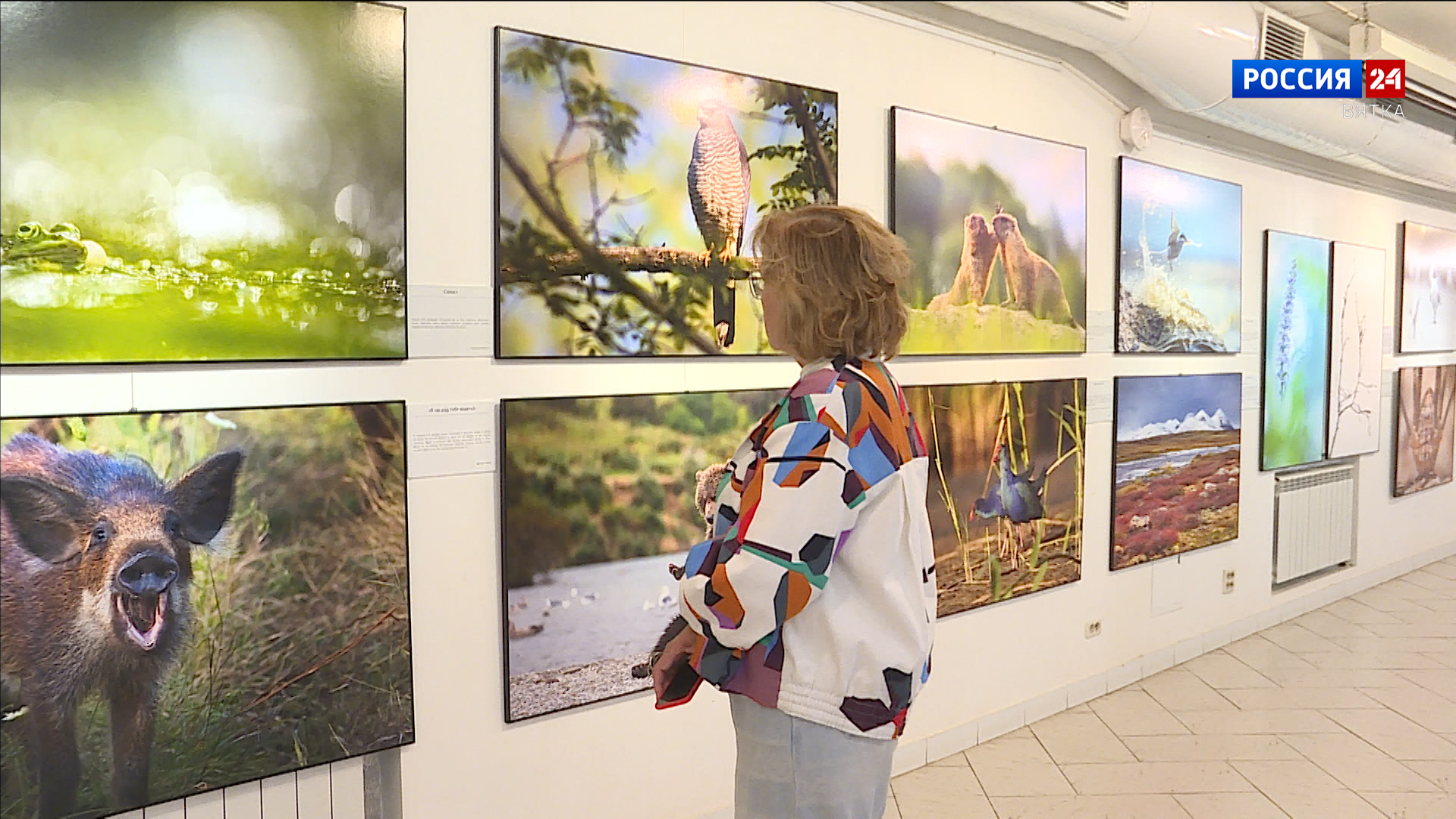 В Кирове открылась фотовыставка «Первозданная Россия»