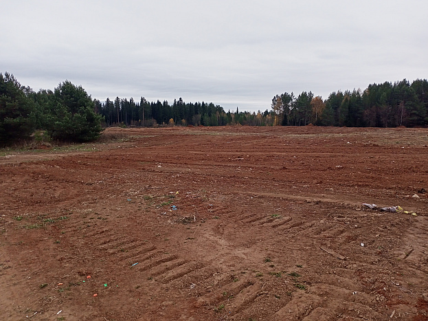 В Кировской области ликвидировано 77% свалок твердых бытовых отходов