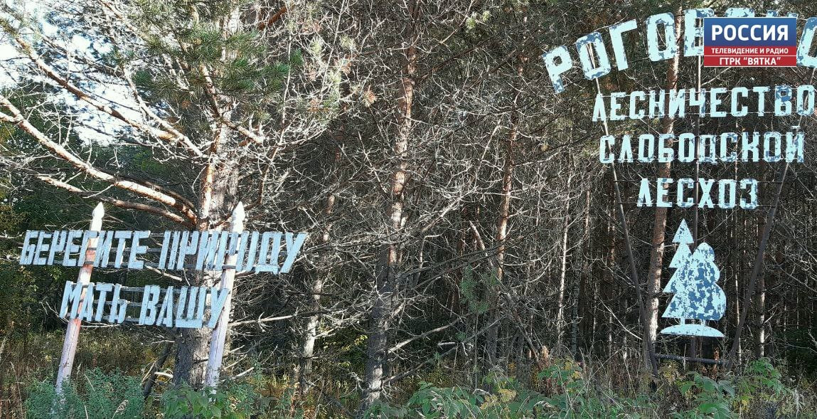 На текущей неделе в лесах Кировской области прогнозируют высокую пожарную опасность