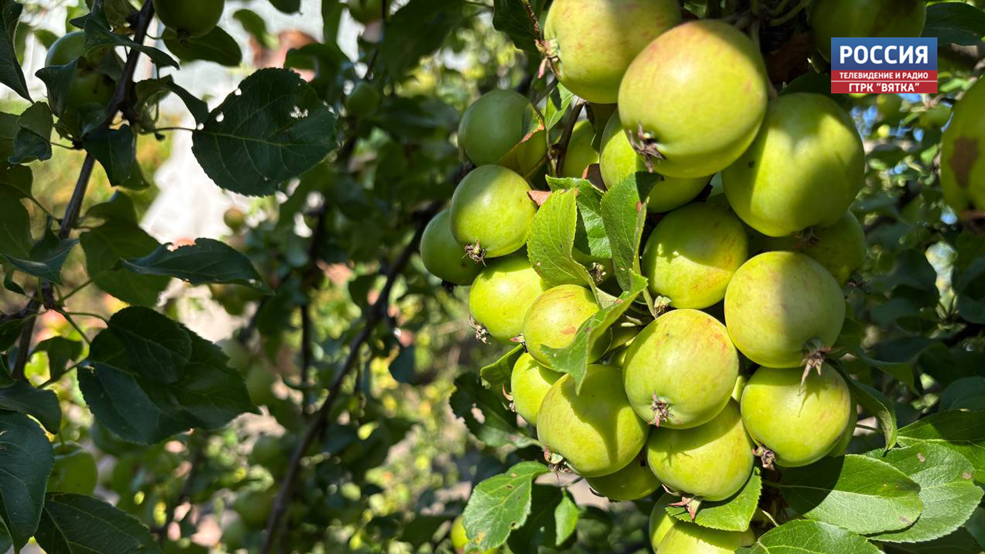 Во вторник в Кировской области будет ясно