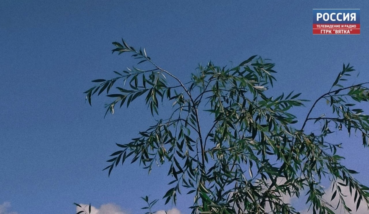 Во вторник в Кировской области обещают до  25 градусов