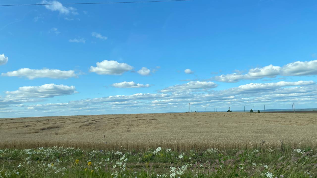 В Кировской области в воскресенье ожидается малооблачная погода и до  27 °C