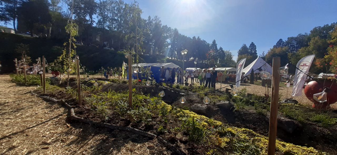 В выходные в овраге Засора пройдет семейный книжный фестиваль «Слово»