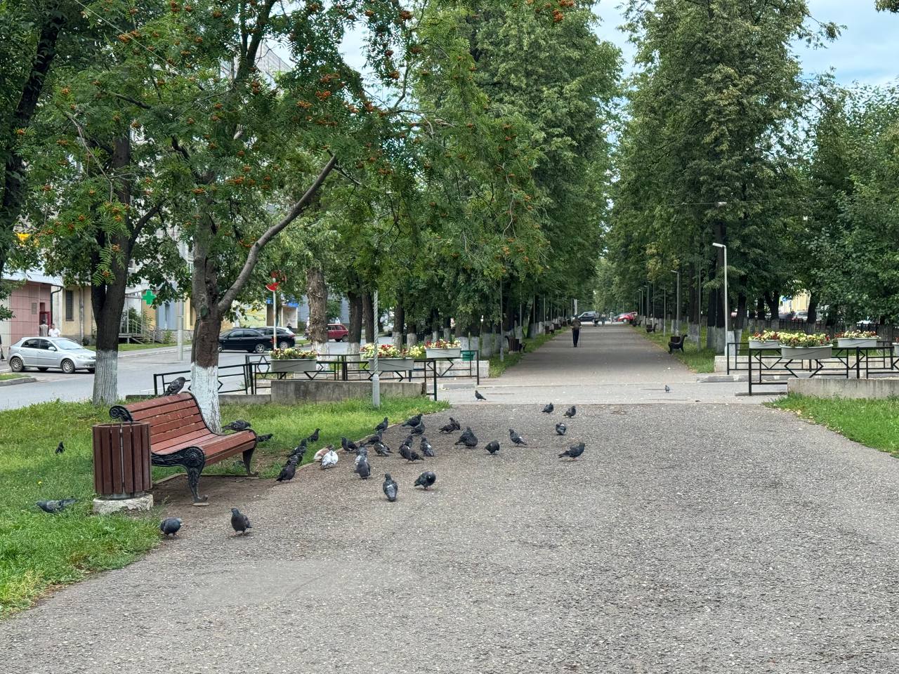 В среду в Кировской области прогнозируют ветер с порывами до 14 м/с