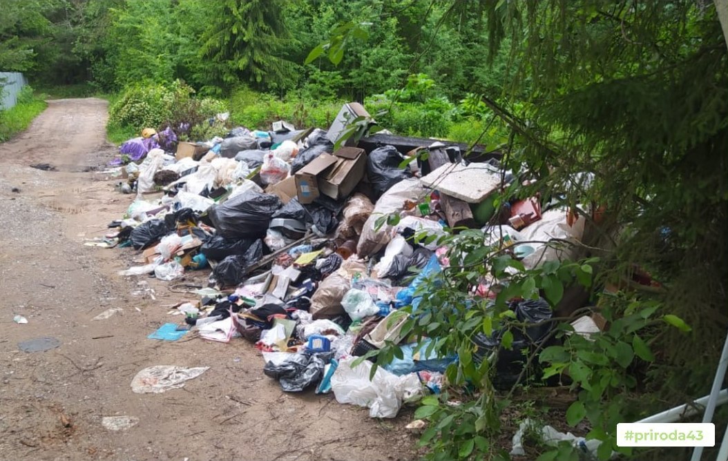 Минэкологии требует ликвидировать свалку в Кирово-Чепецком районе