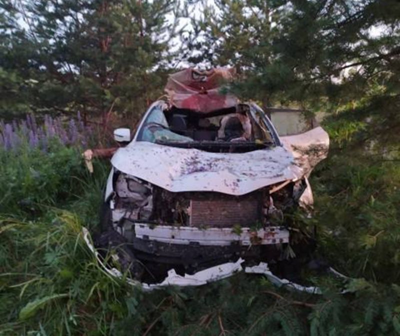 В Кировской области мужчина сбил лося