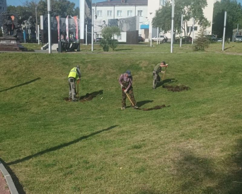 Новые лиственницы и липы появятся в сквере Трудовой славы в Кирове