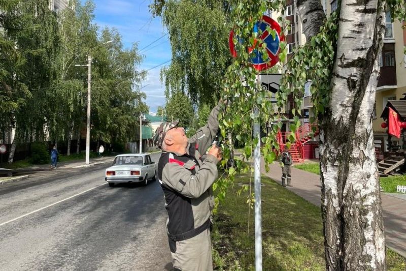 В Кирове ежедневно борются с опасной растительностью