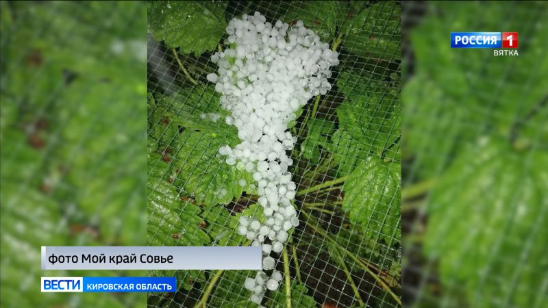 В Слободском районе выпал крупный град