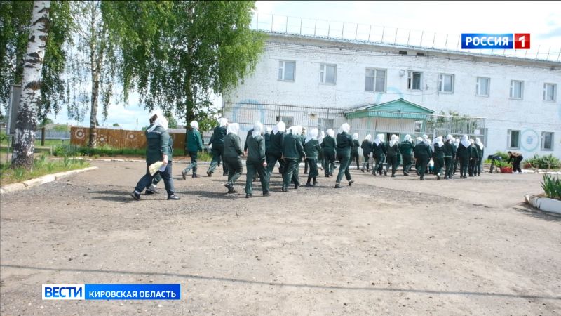 В эфире ГТРК «Вятка» выйдет специальный репортаж Альбины Самигуллиной «Женское лицо наркоторговли»