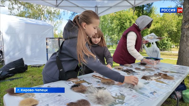В Кирово-Чепецке прошел масштабный экологический праздник «Зеленый Экофест»
