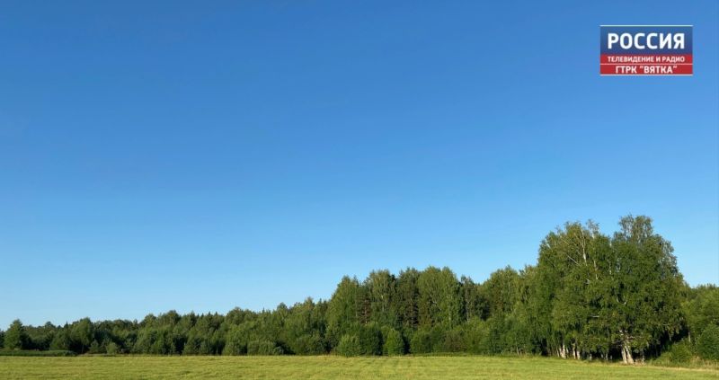 В 2025 году в Кировской области планируют восстановить 36 тыс. га леса