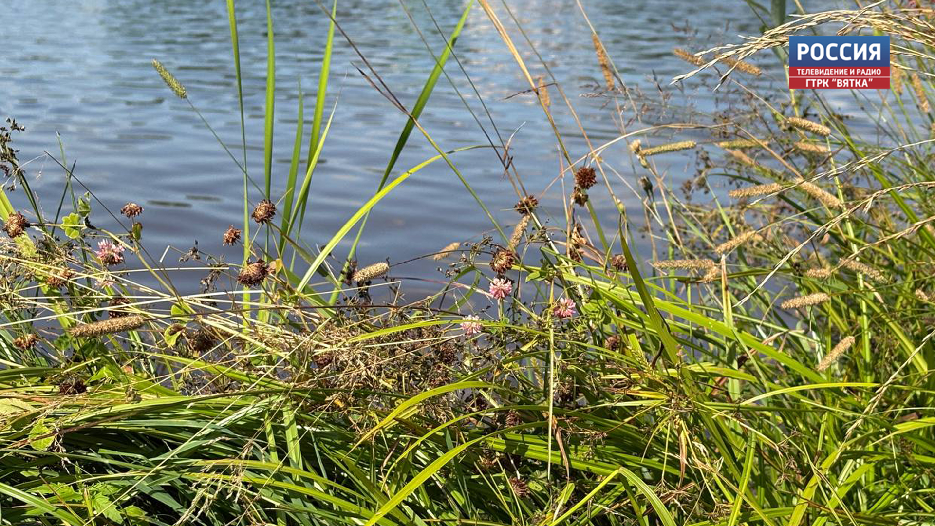 В Слободском во время купания в реке пропал мужчина