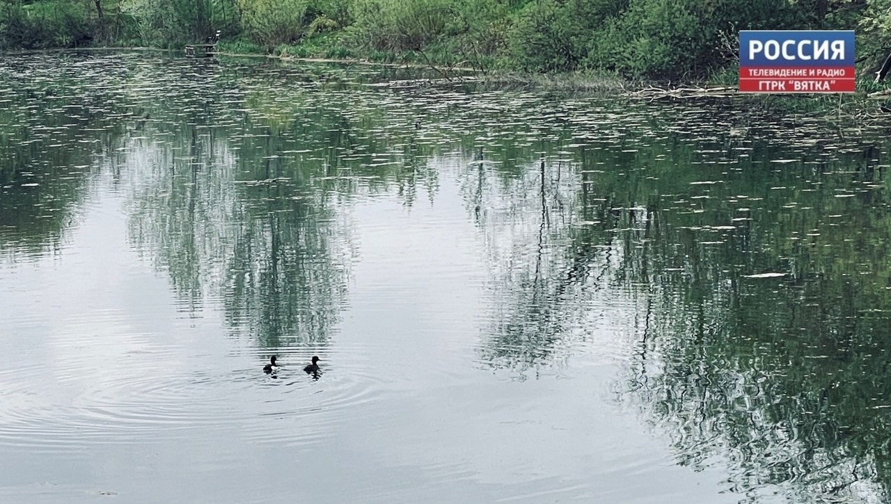 В субботу в Кировской области ожидаются заморозки на почве