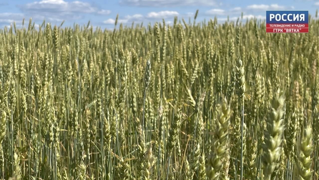 Сельхозпредприятия региона получат средства на целевое обучение студентов