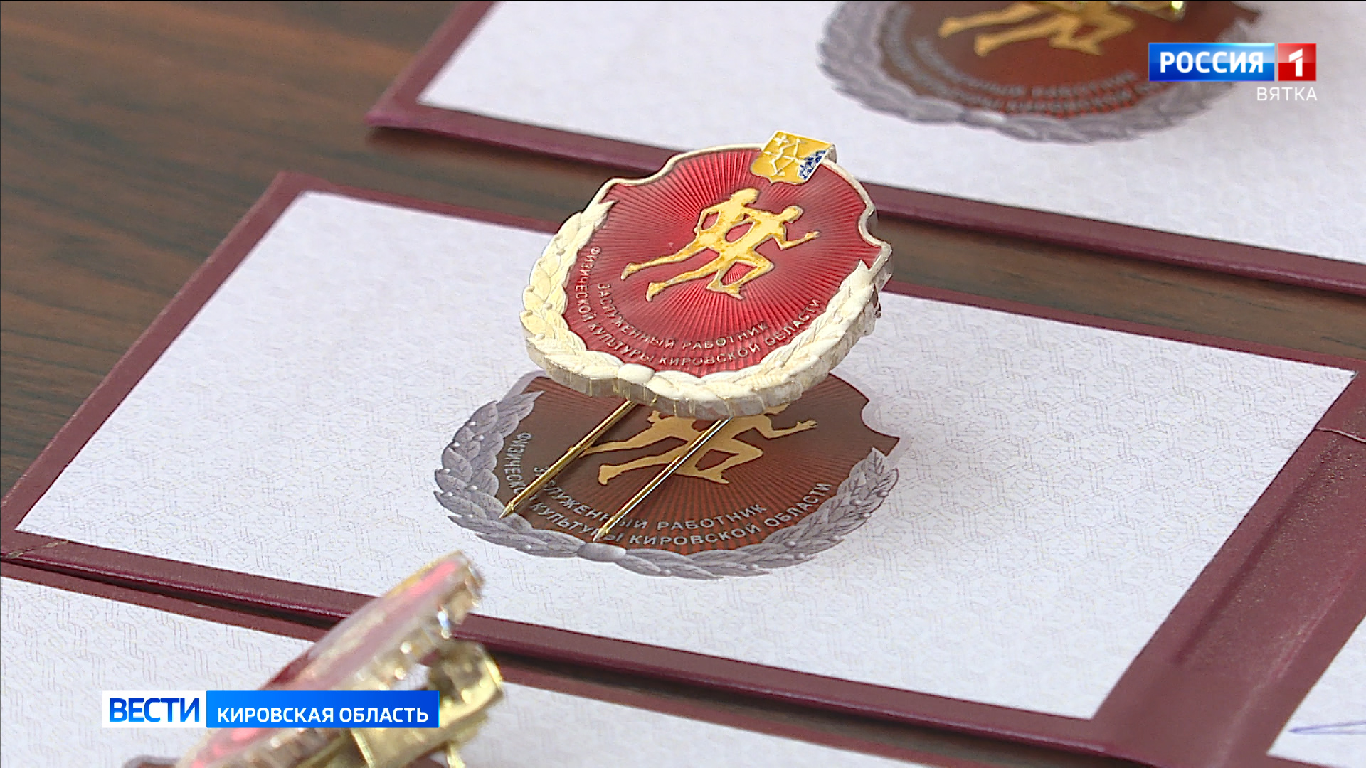 12 кировчан стали заслуженными работниками физкультуры и спорта региона