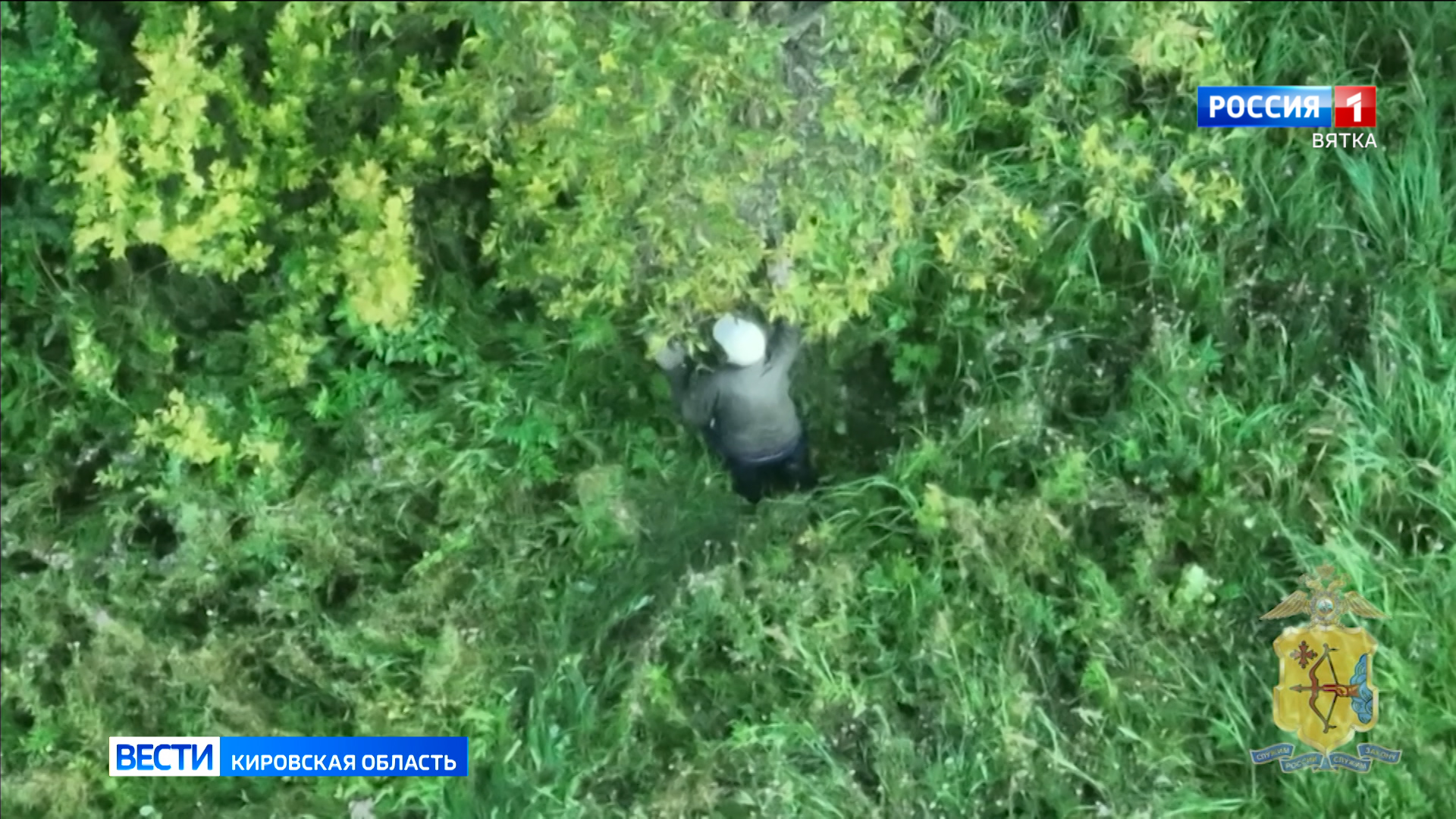 В Слободском районе нашли двух грибников, которые пропали более суток назад