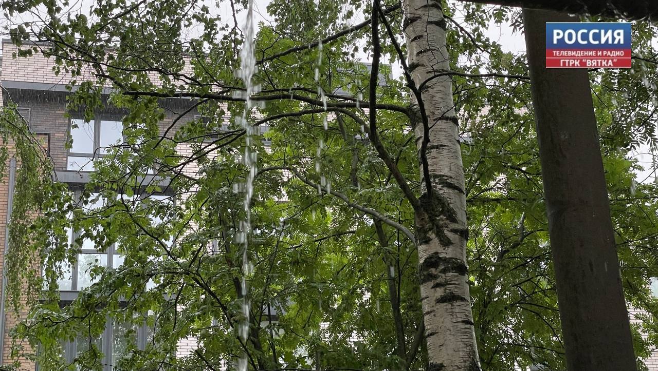 В Кирове утром местами гроза и туман, днем — кратковременный дождь и гроза