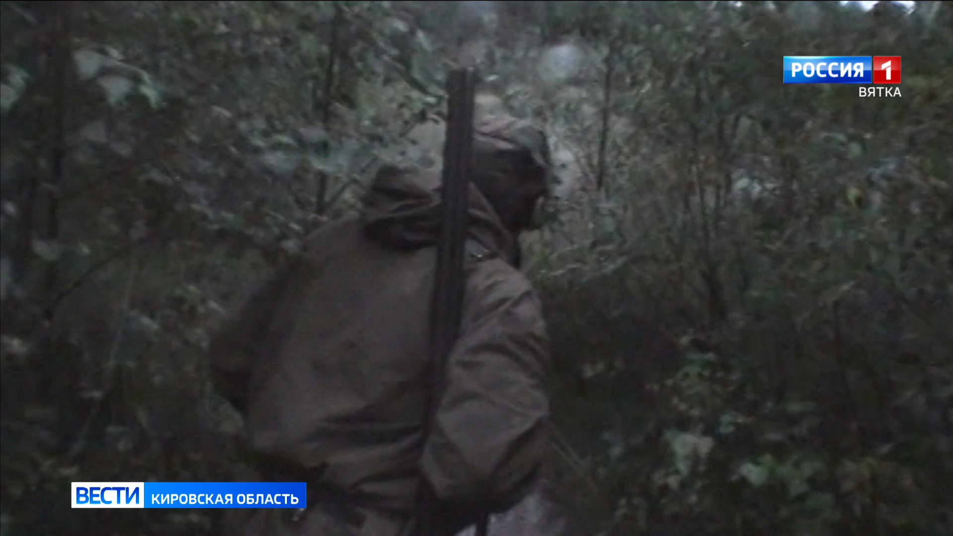 В Кировской области открылся сезон охоты на боровую и водоплавающую дичь