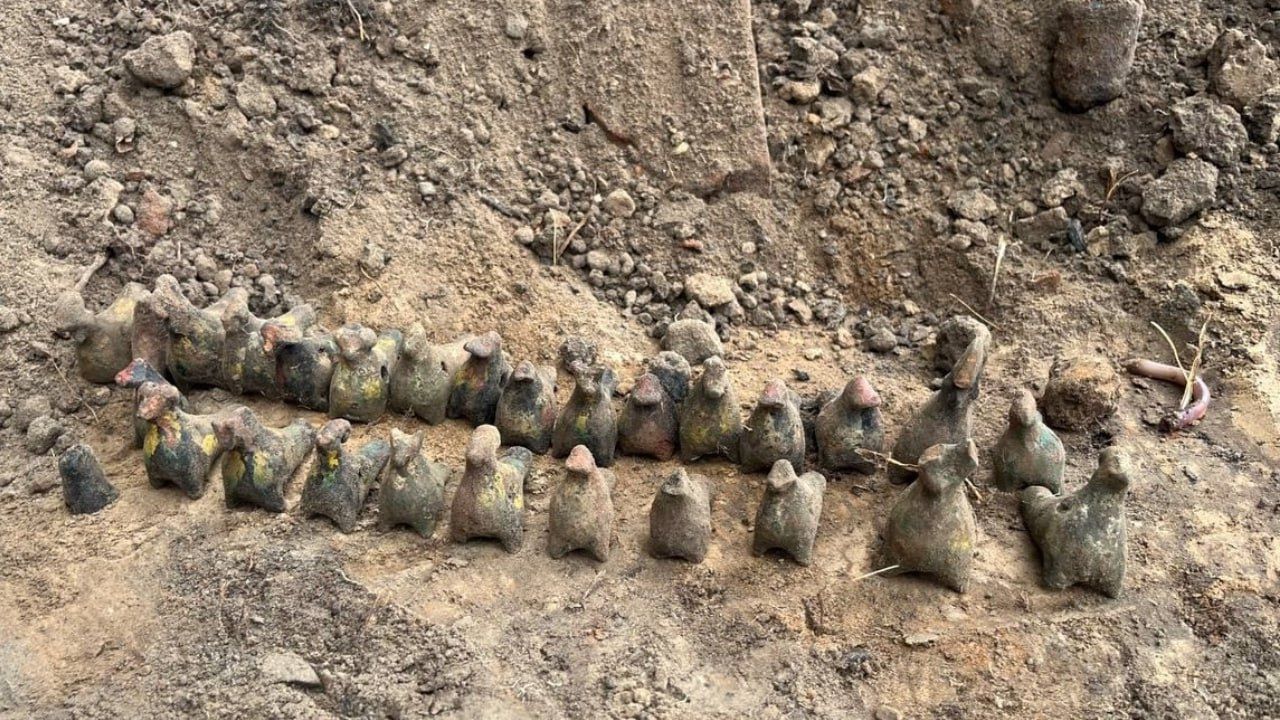 Кировский студент нашел клад: 30 свистулек 18-19 веков