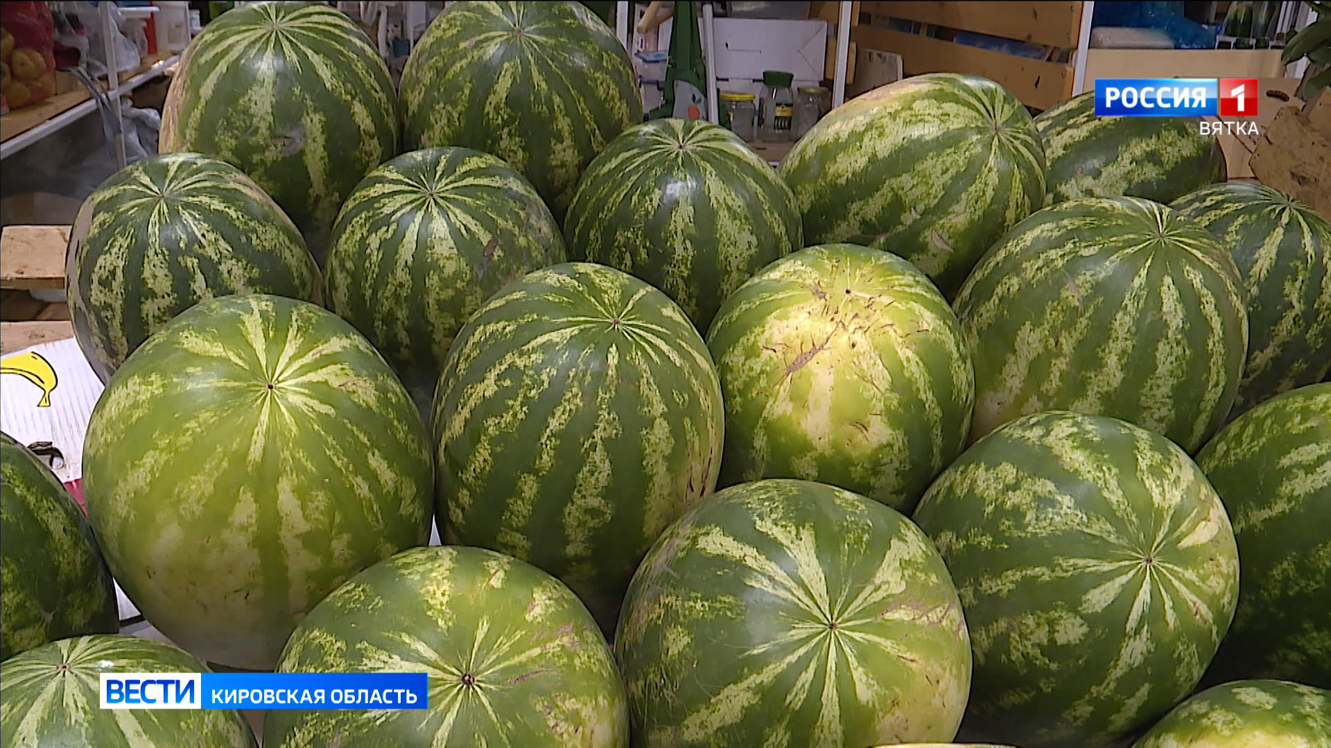 Кировчанам рассказали, как выбрать спелый и безнитратный арбуз