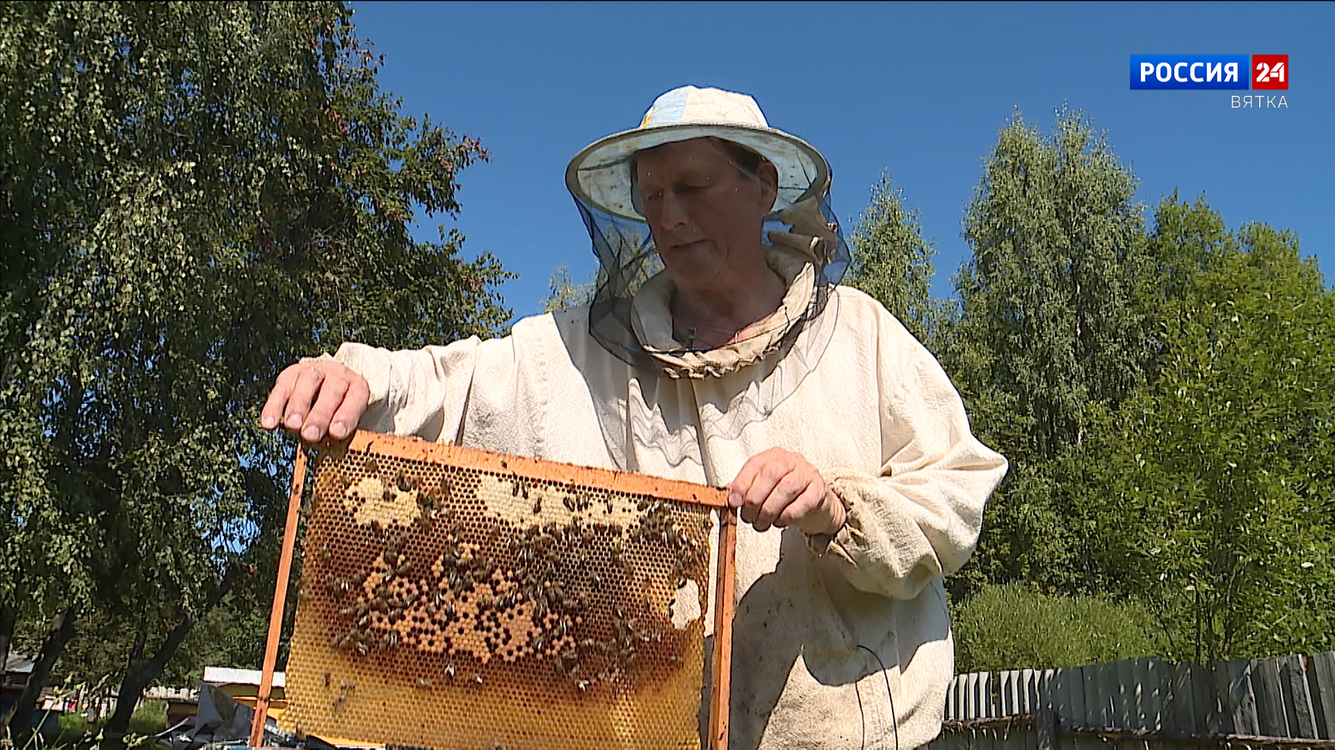 16 августа в Кирове на Театральной площади отметят день пчеловода