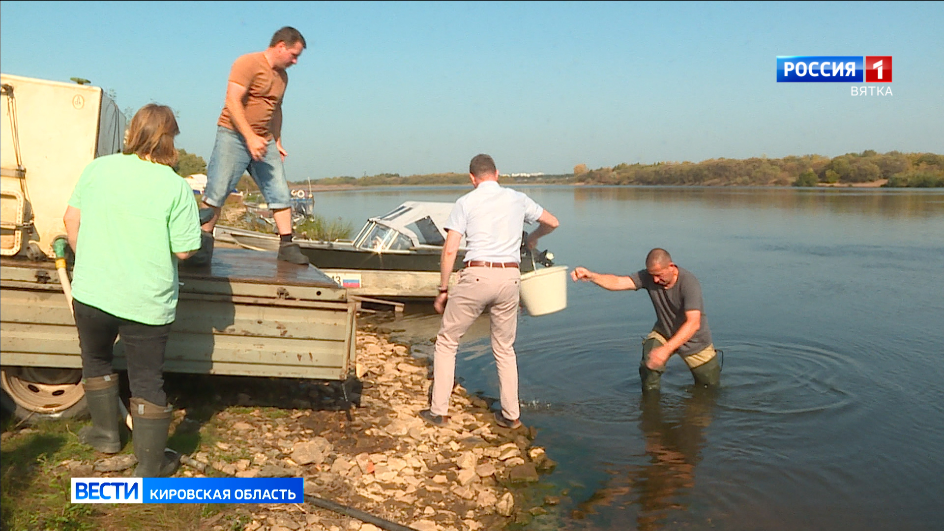 В Уржумском районе в реку Вятку выпустили 28 тысяч мальков стерляди