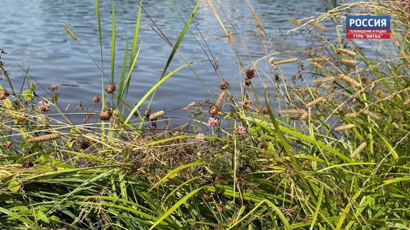 В Кировской области устанавливают границы водных объектов