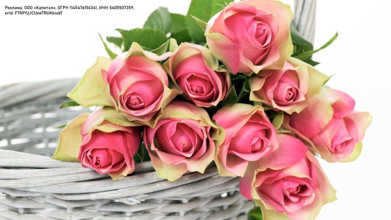 Идеальный Букет на День Рождения: Роскошные Цветы от Flomarket