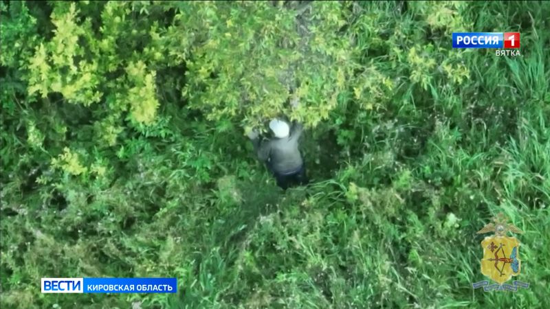 В Слободском районе нашли двух грибников, которые пропали более суток назад