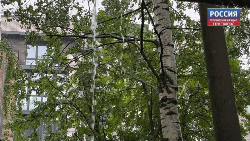 В Кирове утром местами гроза и туман, днем — кратковременный дождь и гроза