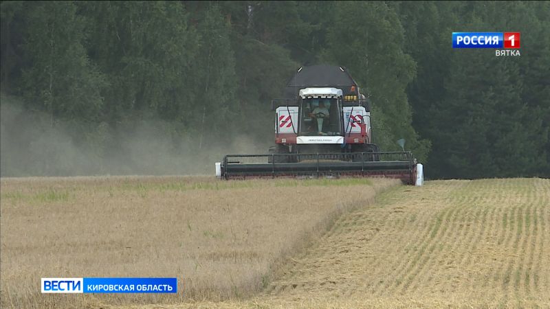 В Кировской области началась уборка зерновых и зернобобовых культур