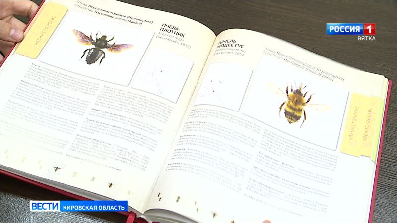 К выходу готовится третье издание Красной книги Кировской области
