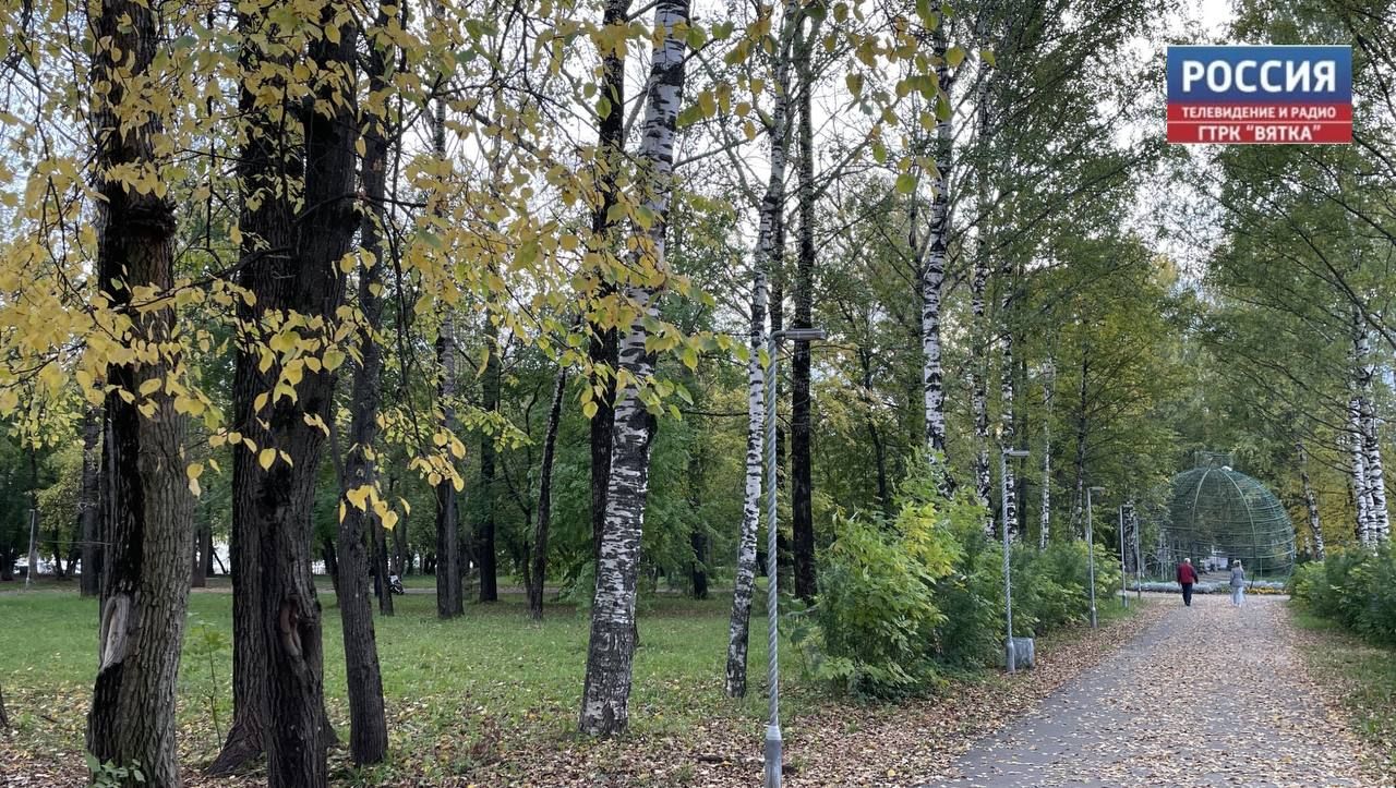 Улицы Кирова очищают от листвы