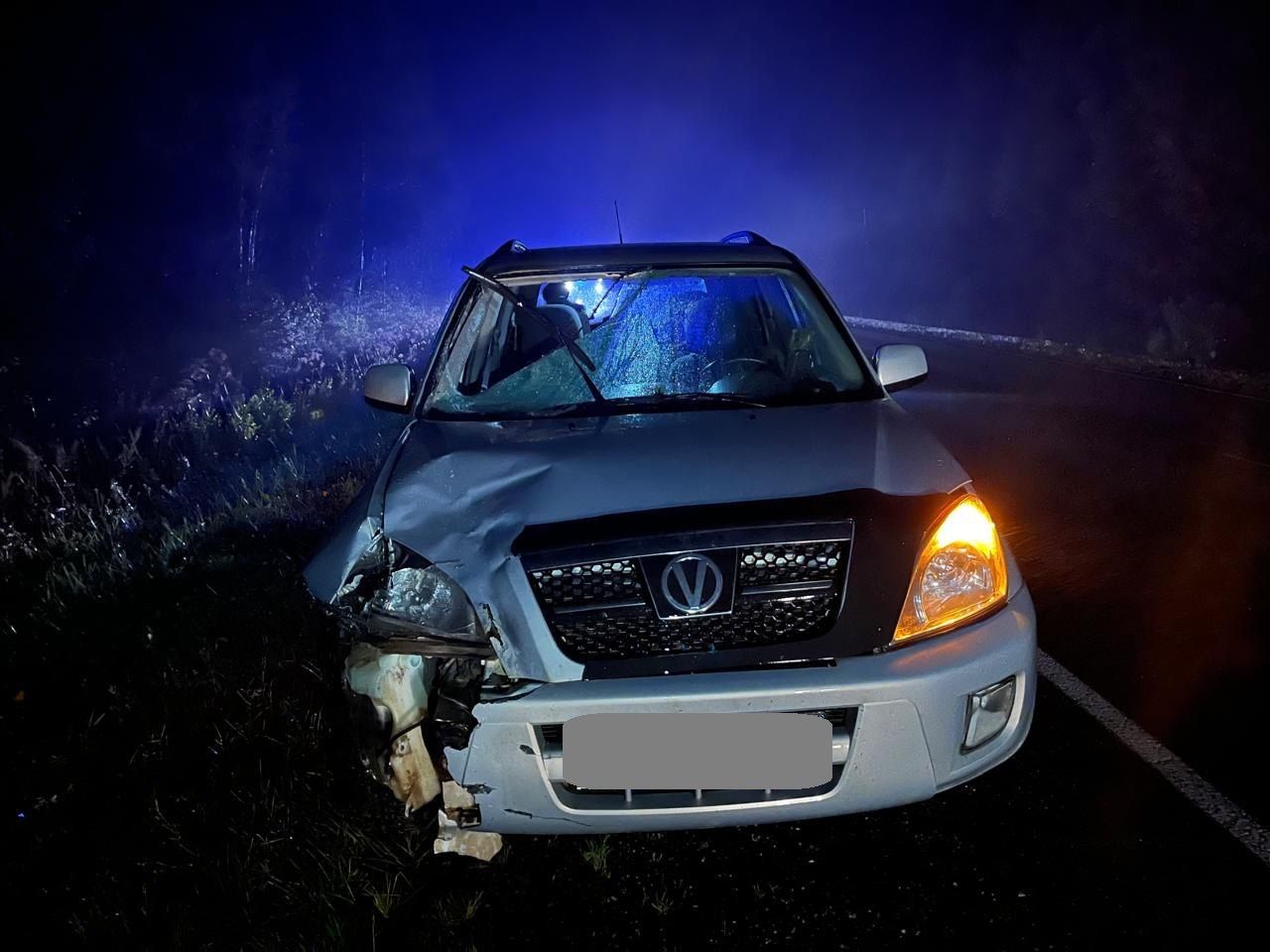 61-летний водитель электроскутера погиб в ДТП в Кирово-Чепецком районе