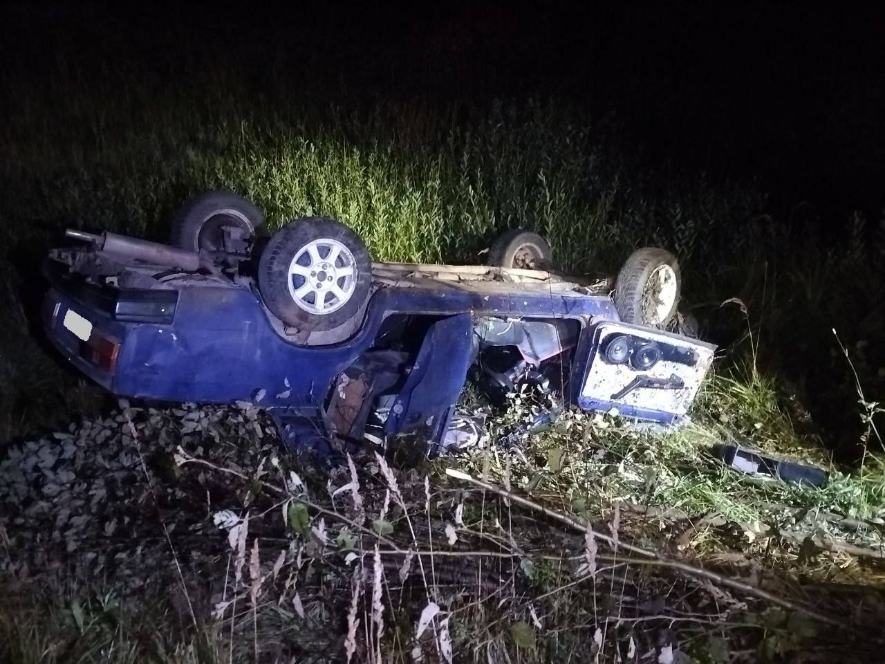 21-летний бесправник сбил лося в Кикнурском районе