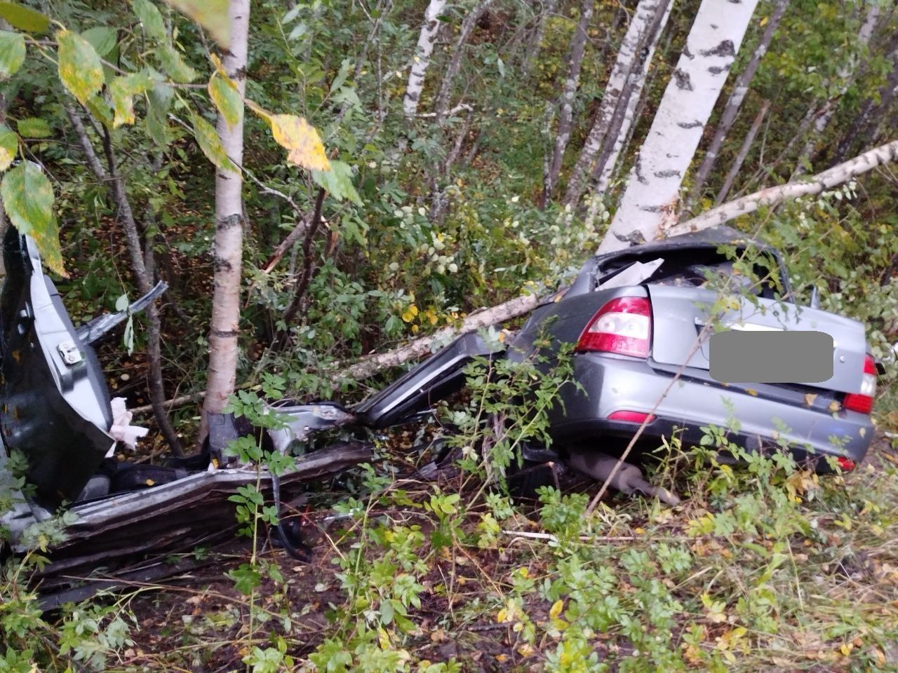 Въехал в дерево и погиб: в Верхнекамском районе произошло ДТП