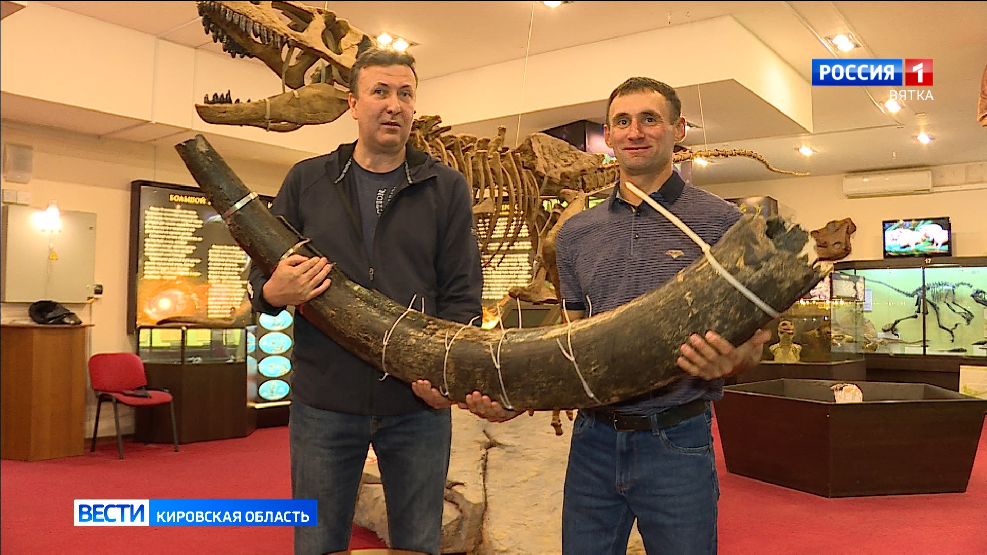 В Кирове стартует Всероссийская палеонтологическая конференция