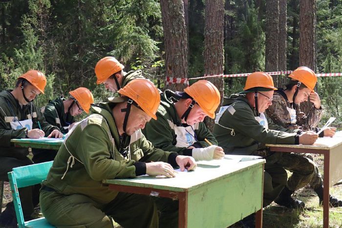 В Кировской области определили лучшего лесничего