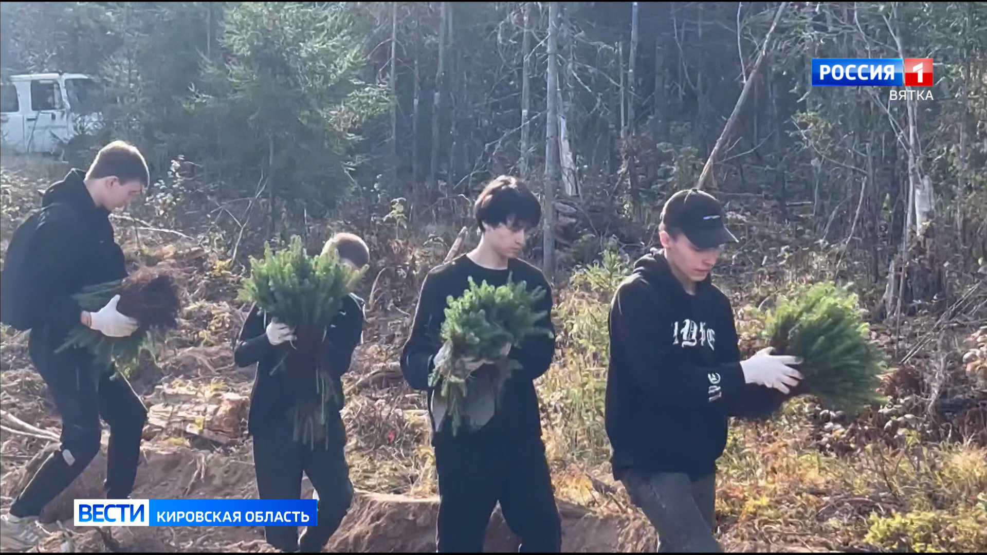 На территории Бобинского лесничества пройдет всероссийская акция «Сохраним лес»