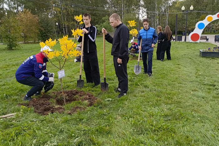 В Кирове высадили 20 молодых яблонь и ясеней