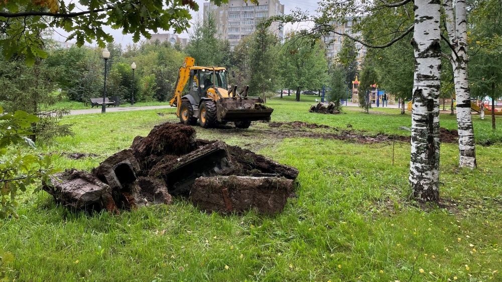 В Кочуровском парке приступили к строительству площадки ГТО