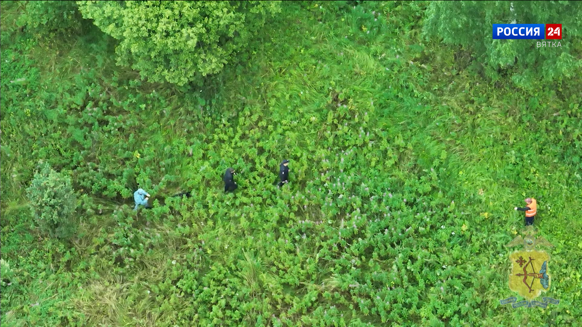 В Оричевском районе полицейские нашли заблудившегося в лесу грибника с помощью беспилотника