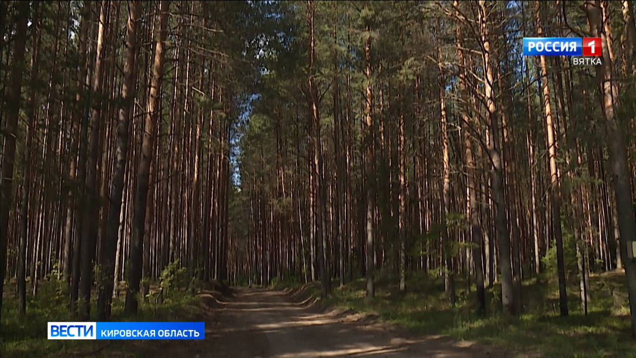 В воскресенье в Кировской области ожидается переменная облачность