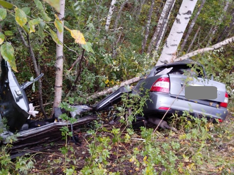 Въехал в дерево и погиб: в Верхнекамском районе произошло ДТП