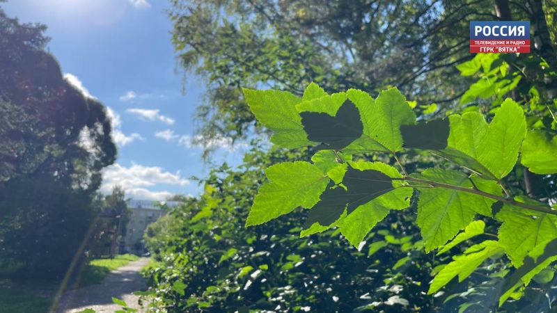 В пятницу в Кировской области обещают до  12 градусов