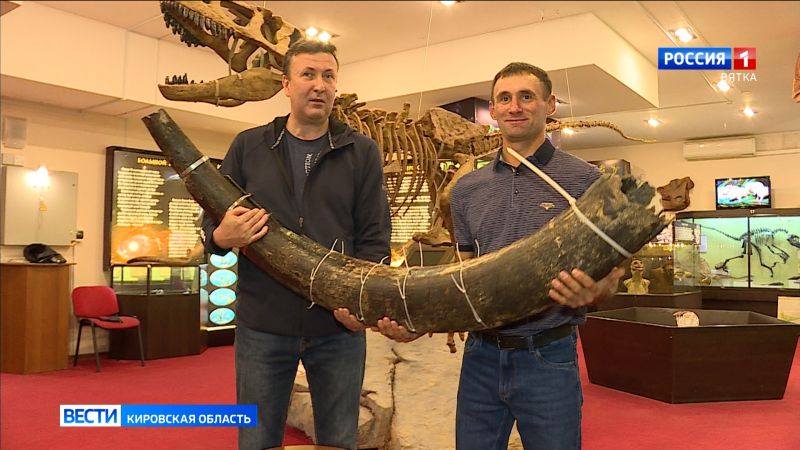 В Кирове стартует Всероссийская палеонтологическая конференция