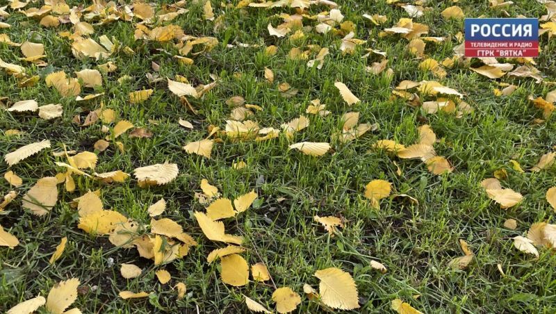 В пятницу в Кировской области осадков не ожидается